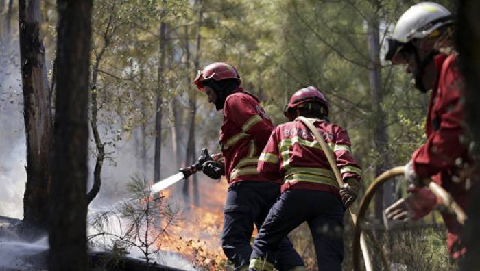 Portuqaliyada meşə yanğınları: 31 ölü 
