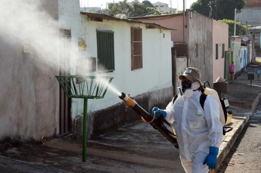 Weltbank warnt vor wirtschaftlichen Einbußen durch Zika-Epidemie