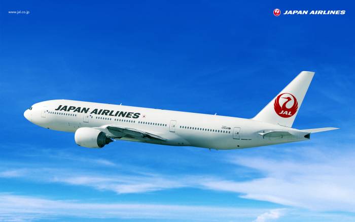 Japon: un avion heurte un oiseau et atterrit en urgence