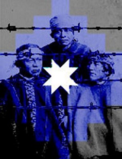 Presos políticos mapuches, 108 días en huelga de hambre