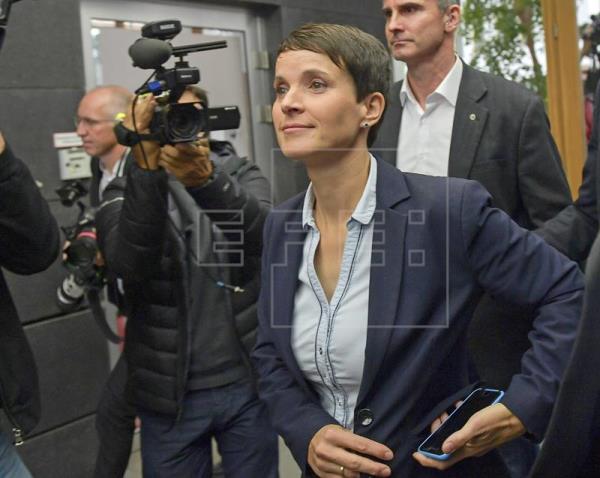 La copresidenta de la ultraderecha alemana no se unirá al grupo parlamentario