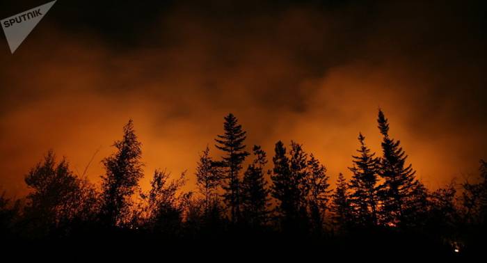 Aumenta en 271 hectáreas la superficie de incendios en Lejano Oriente ruso en un día