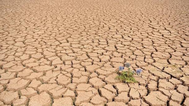 La sequía en España será principal asunto del Foro de la Economía del Agua