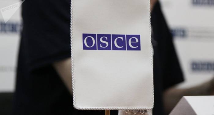 Senador ruso: la OSCE evita la crítica directa a EEUU por violar la libertad de prensa