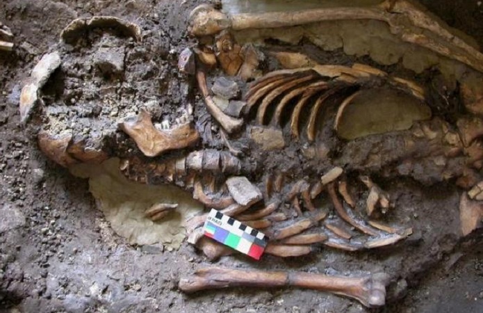 Genetic sleuthing helps sort out ancestry of modern Europeans