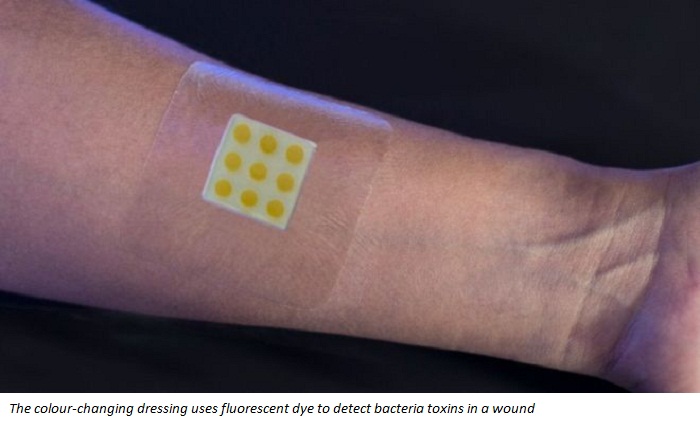 Colour-changing dressing `fights antibiotic resistance`