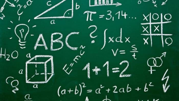 Las matemáticas nos ayudan a ‘poner freno a la enfermedad’