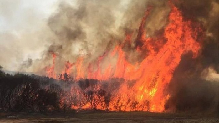 Four killed as out-of-control bushfires burn in Australia