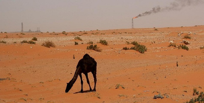 Saudi says oil price slump should not stop investment