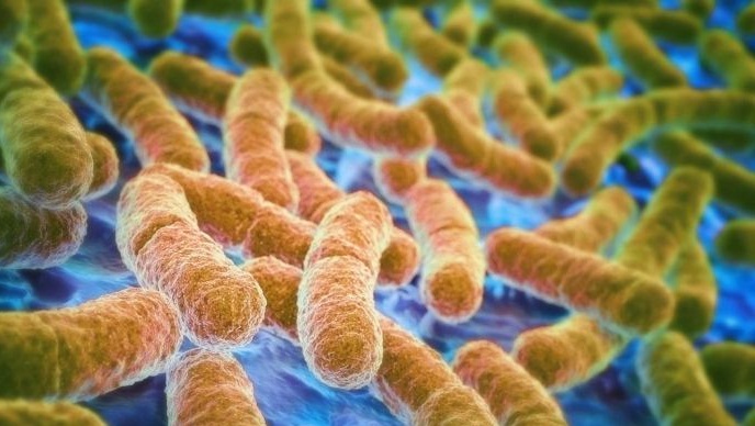 Gene that makes bacteria resistant to last-resort antibiotics found in China