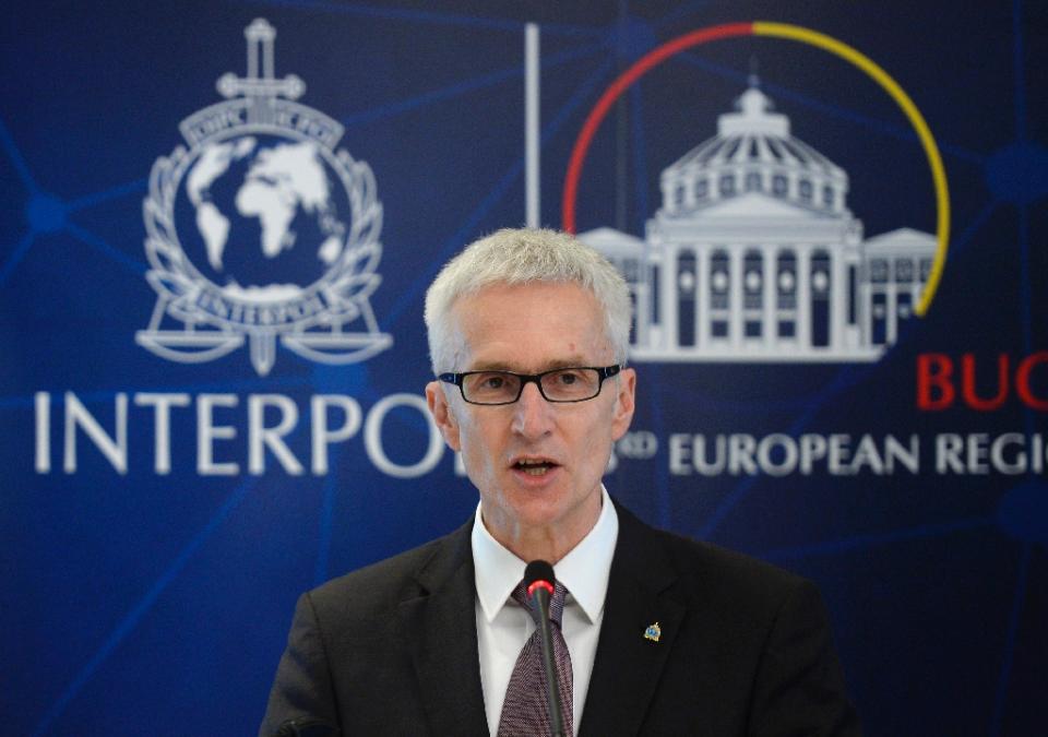 Nearly 6,000 foreign jihadists on Interpol radar: chief