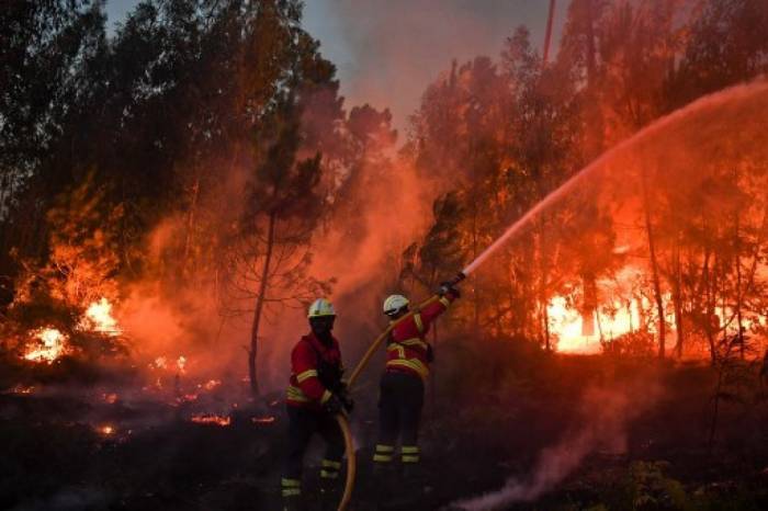 Portugal : 442.000 hectares partis en fumée, un record historique