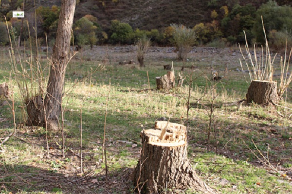 Armenian Soldier Beaten brutally by Higher Ranking Officer
