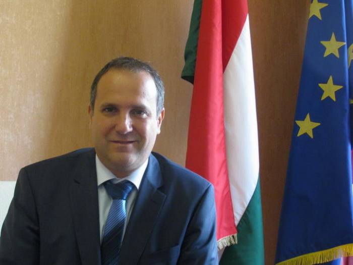 Ungarn will Aserbaidschans Tor zu EU-Märkten werden - Botschafter