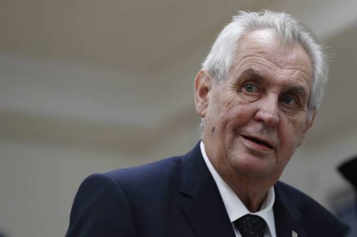 Czech president Zeman hospitalised after arm injury