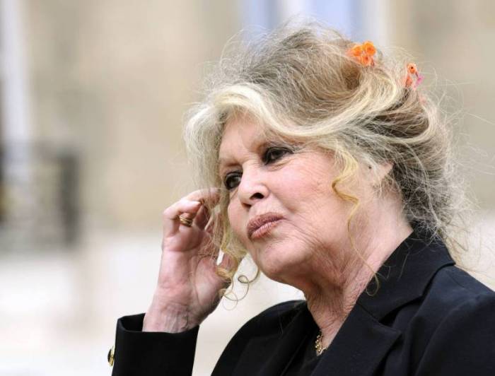 Brigitte Bardot livre son testament en faveur des animaux dans un livre