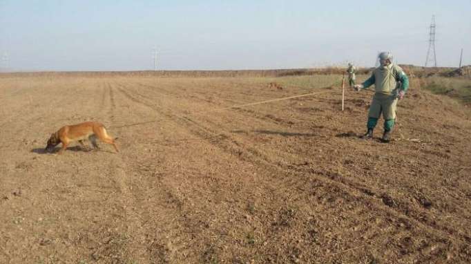 ANAMA finds 20 UXOs in Aghstafa