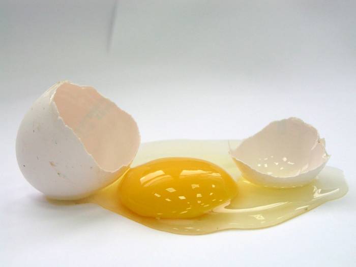 Woman calls 999 for advice about broken eggs