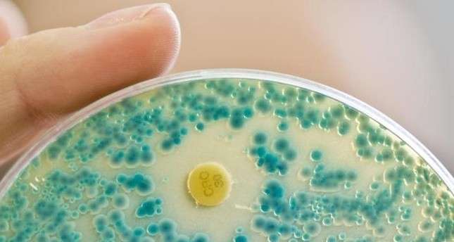 Antibiotika-resistente Keime in deutschen Gewässern: Experten besorgt
