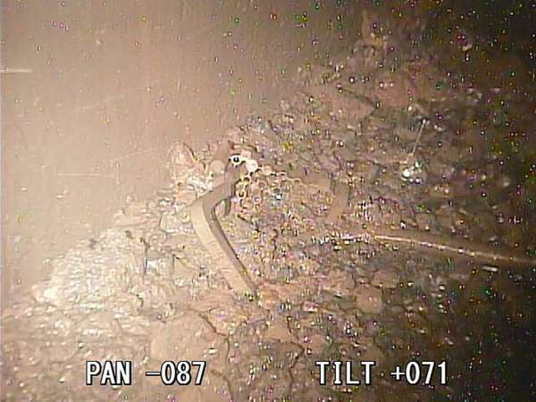 Tepco doit indemniser les victimes de Fukushima