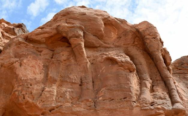 Mystères et sculptures de chameaux dans le désert saoudien
