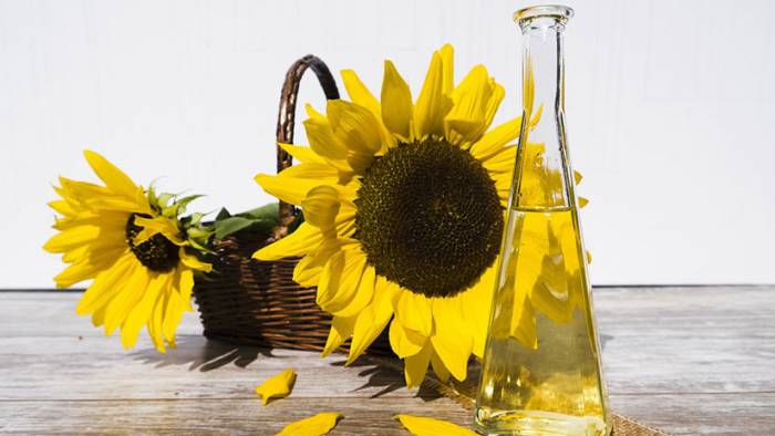 Estudio inquietante: El aceite de girasol puede causar cáncer de hígado