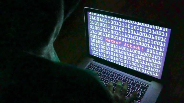 Hack attacks disabled 500,000 computers in Russia in 2017 – Security Council secretary