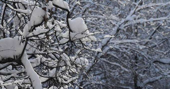 Le lourd bilan humain des chutes de neige au Japon