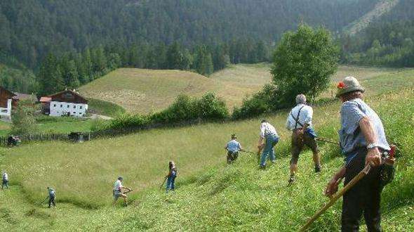 Beiträge für Vorsorgeleistungen in der Berglandwirtschaft