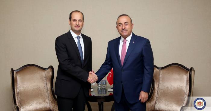 Cavusoglu se encuentra con su par georgiano en Bakú