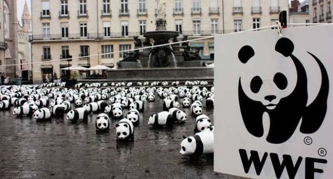 WWF hace un llamado a los candidatos a la Presidencia de Rusia