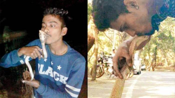 Muere famoso encantador de serpientes por mordedura de una cobra