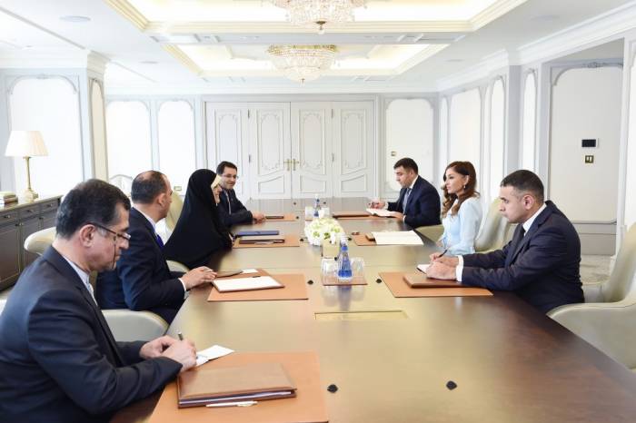 Mehriban Aliyeva rencontre la vice-présidente iranienne chargée des femmes et des affaires familiales