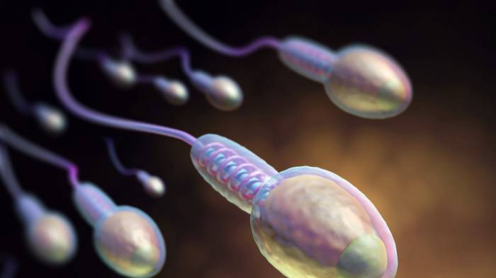 Low sperm count can mean shorter lifespan, study finds