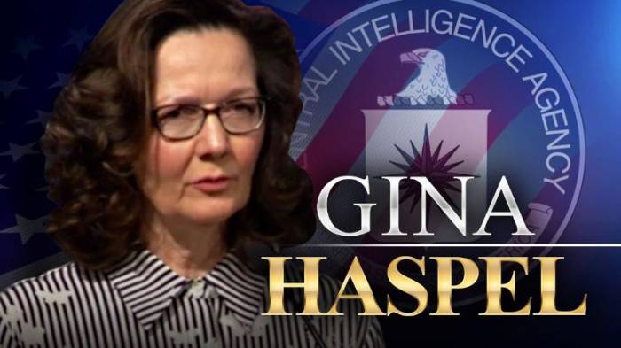 CIA director Haspel travels to Turkey for Khashoggi case: source