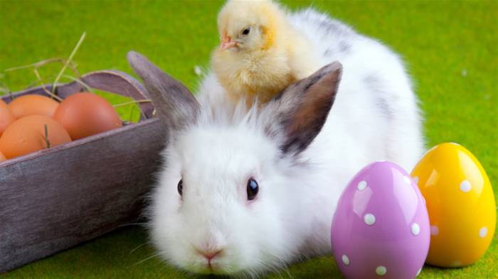 Pourquoi les lapins sont-ils aussi un symbole de Pâques ?