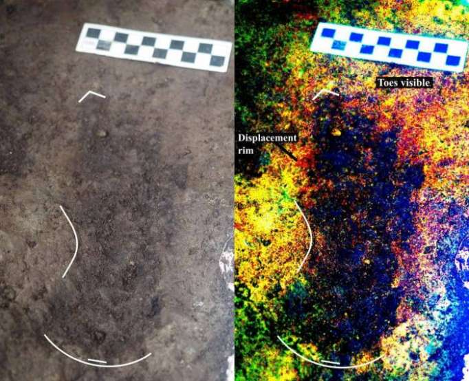 Footprints found off Canada coast evidence of 