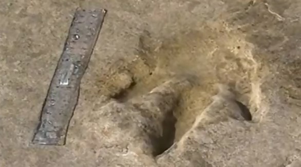 اكتشاف أقدم آثار بشرية في أمريكا الشمالية