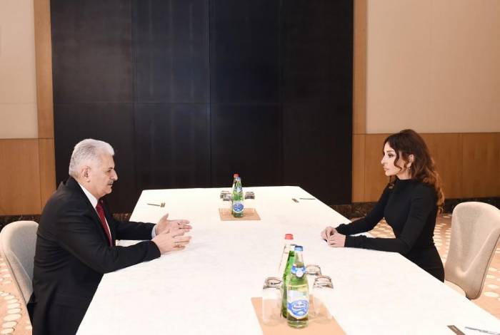 First VP Mehriban Aliyeva meets with Turkey