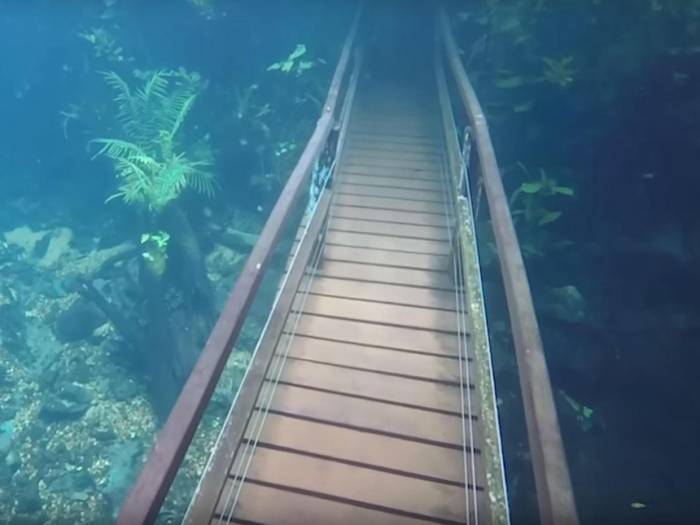 Heavy rains turned hiking trail in Brazil into an underwater paradise - VIDEO