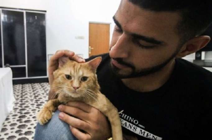 Irak: A Bassora, les chats ont leur hôtel