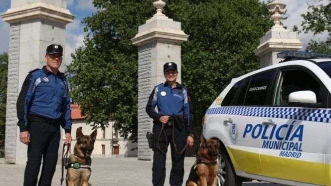 "موسيقى موتسارت" لعلاج كلاب الشرطة الإسبانية