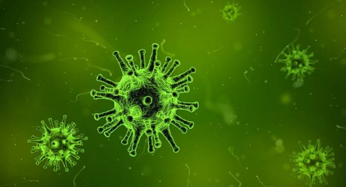 Forscher stellen Verbreitung unheilbarer Infektionen in USA fest