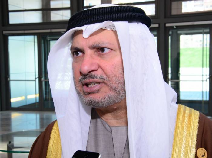 We are very interested in many strategic projects in Azerbaijan - UAE official
 