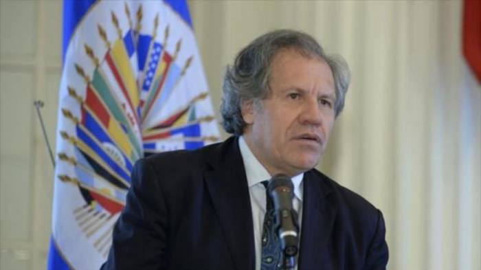 OEA incita protestas en Venezuela contra el Gobierno de Maduro