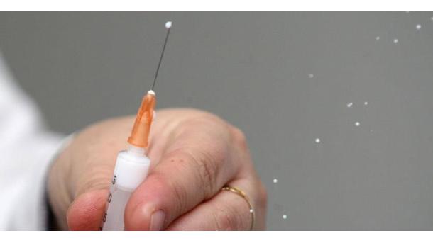 Un prototipo de vacuna protege en un 80% contra el ébola en ratones