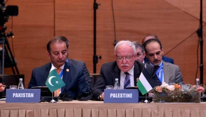 Palestinian FM urges UN to investigate Israeli attacks