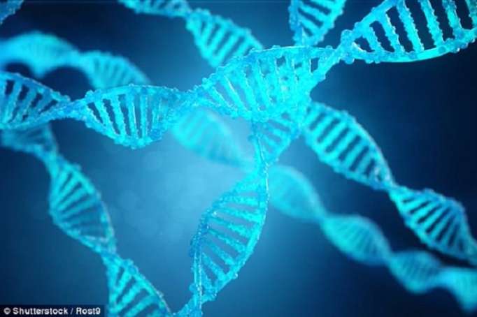 Humans will be genetically modified for the first time in Europe