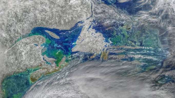 Incredible psychedelic phytoplankton bloom captured from space
