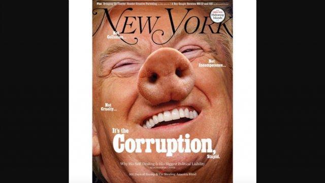 Le New York magazine ose Trump en cochon